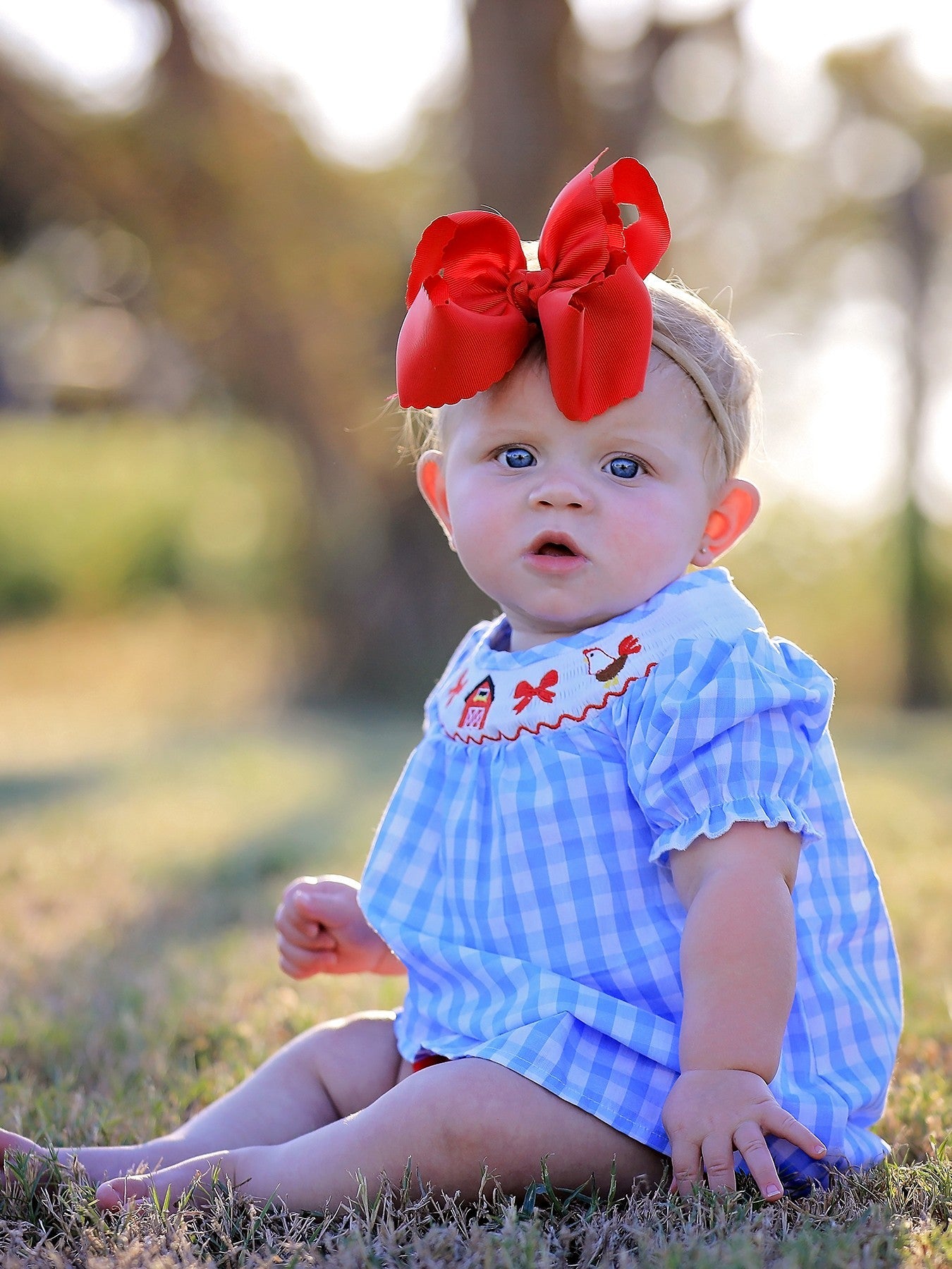 Farm Smocking Embroidered Girls Outfits